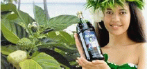 ��� ���� Noni TAHITIAN Noni MLM Noni-Best
