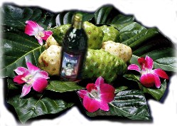 ���� Noni TAHITIAN Noni MLM Noni-Best